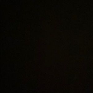 Meet your Posher, Abigail